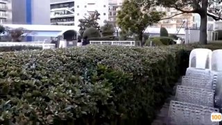 洋物ポルノのド定番！金髪白人美女と巨根の濃厚性交！"